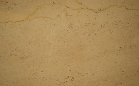 Red Line Beige Red Line Beige