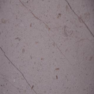 New Century Beige