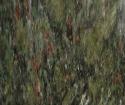 Purple Spot Green Diamond